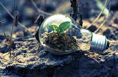 生態(tài)多樣性概念