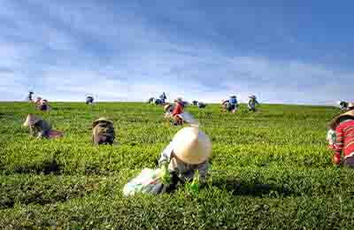 勞動派遣的好處