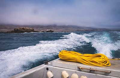 水務行業(yè)調(diào)查報告