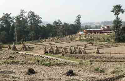 農(nóng)村飲用水調(diào)查報(bào)告