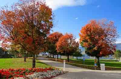 濕地公園景觀設計探討