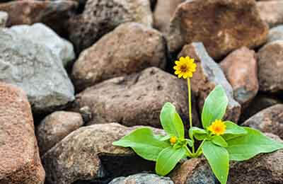 易經(jīng)與人生