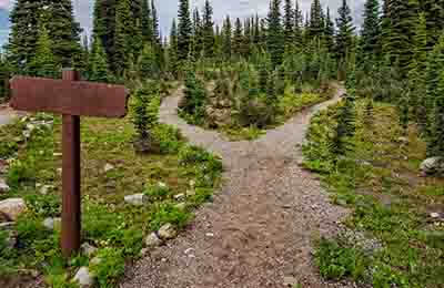 三型人才培養路徑探討