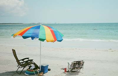 保護生物學的研究內容