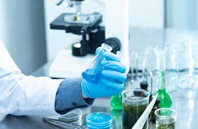 標準本科畢業論文