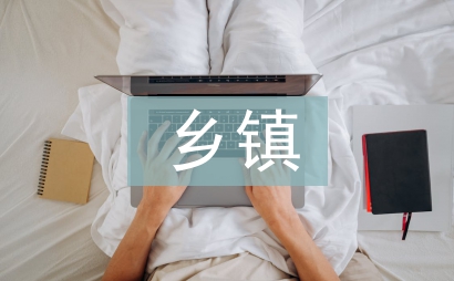 鄉(xiāng)鎮(zhèn)村級年終考核方案