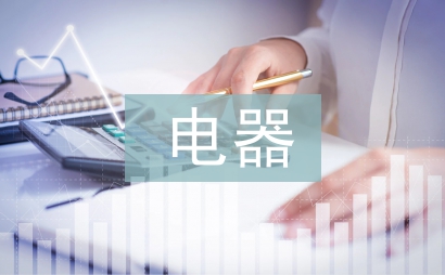 電器試用期工作總結