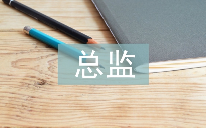 總監(jiān)工作思路