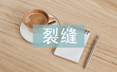 裂縫防治技術(shù)論文