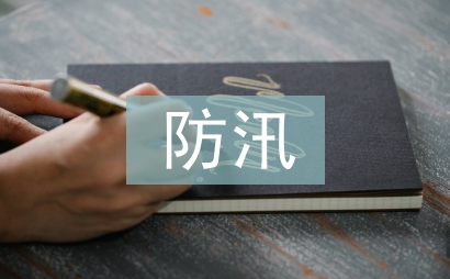 團委防汛工作總結