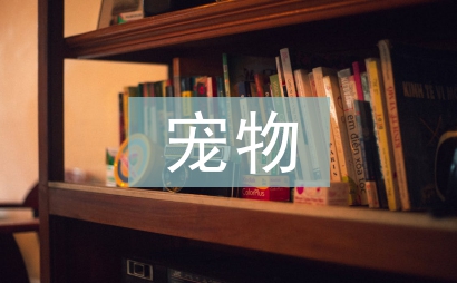 寵物前臺工作計劃