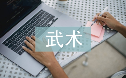 武術(shù)活動(dòng)總結(jié)