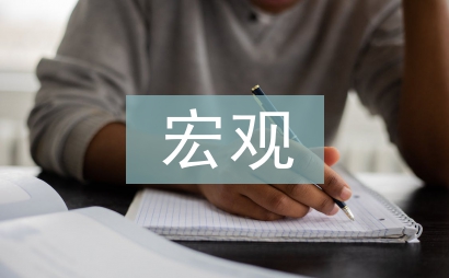 宏觀經(jīng)濟(jì)管理論文