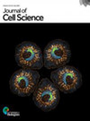 Journal Of Cell Science雜志