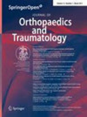 Journal Of Orthopaedics And Traumatology雜志
