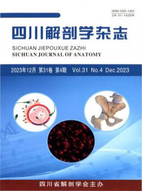 四川解剖學
