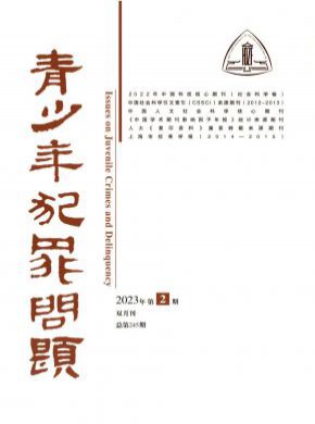 青少年犯罪問(wèn)題