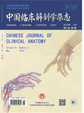 中國臨床解剖學(xué)