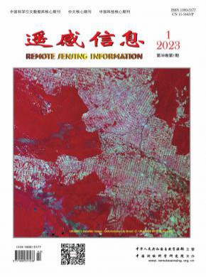 遙感信息