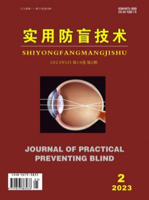 實(shí)用防盲技術(shù)