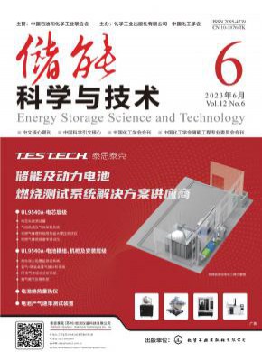 儲能科學與技術