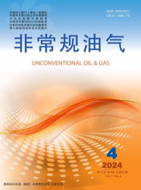 非常規(guī)油氣
