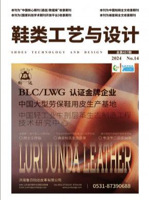 鞋類工藝與設計