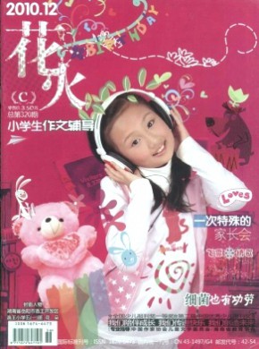 花火·小學(xué)生作文輔導(dǎo)